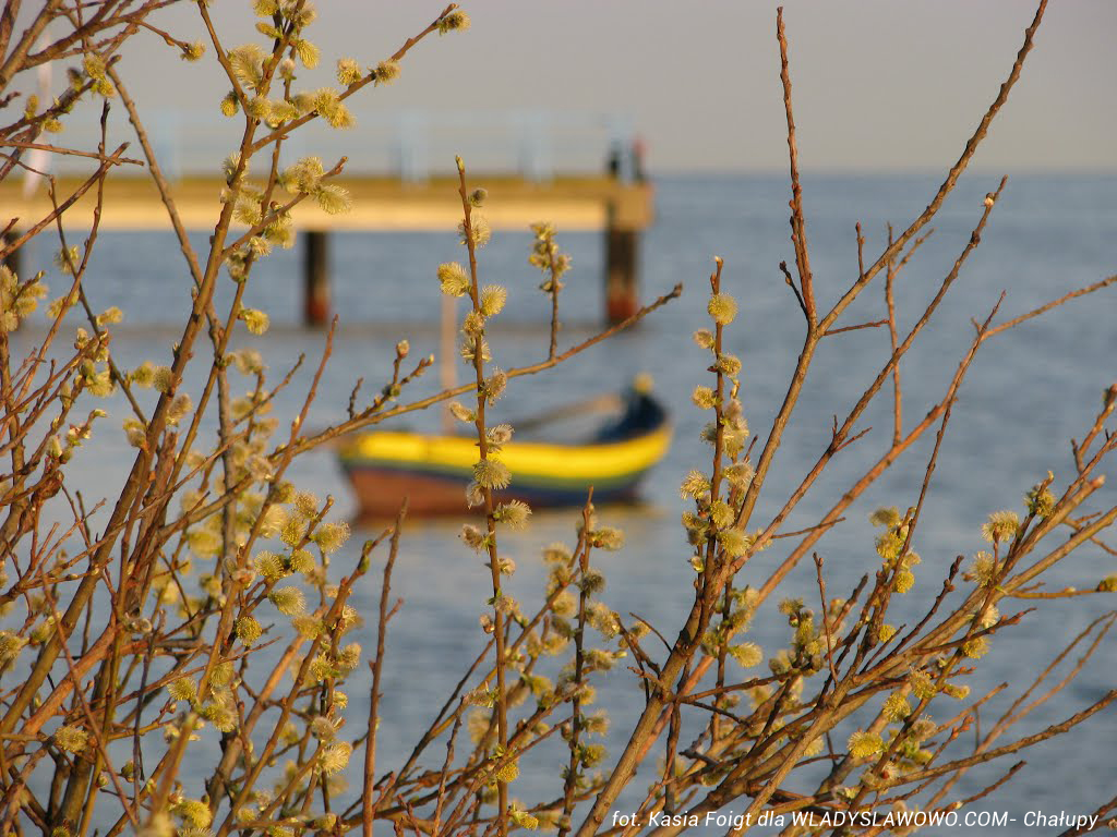 Chałupy wiosną – spokój i piękno natury